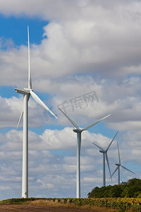 向日葵田野上的绿色能源风电机组