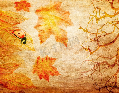 树枝状水系摄影照片_垃圾抽象的秋天背景，树枝和彩色树叶