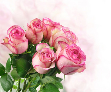 白色鲜花束摄影照片_粉色鲜玫瑰