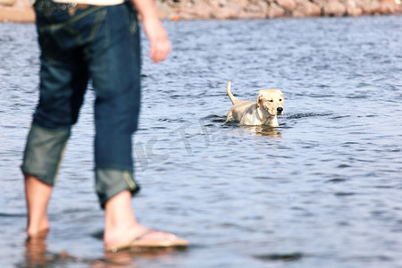 人和狗摄影照片_水中的人和狗