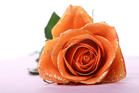 美丽的橙色玫瑰与金色装饰