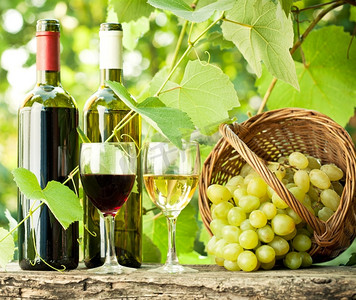 红色和白色酒瓶，两个玻璃杯和串葡萄在老木桌反对葡萄园