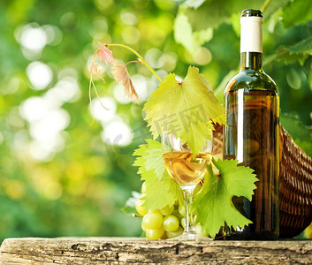 白色的酒瓶，玻璃杯，嫩藤和一串葡萄映衬着绿色的春天