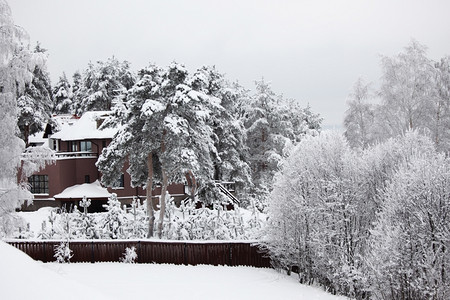 冬天森林里的房子到处都是雪