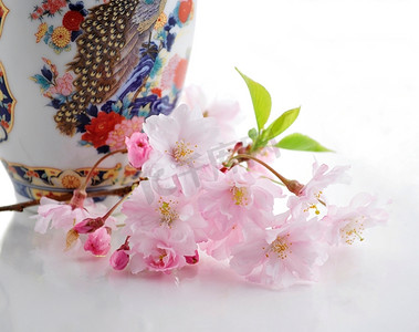 樱花树枝和一个复古花瓶