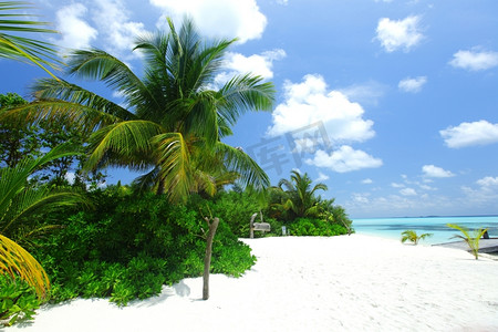 岛屿背景摄影照片_热带岛屿棕榈海和天空