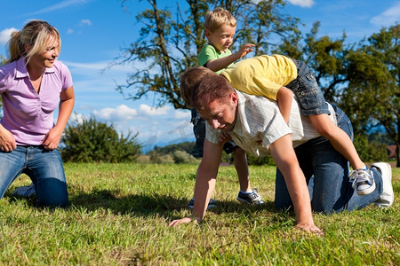 有两个小男孩的愉快的家庭在夏天草甸的草地上玩 