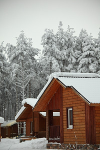 冬天森林里的房子到处都是雪