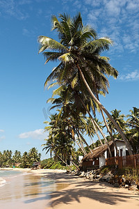 天安门飘带摄影照片_热带天堂田园诗般的棕榈滩。斯里兰卡