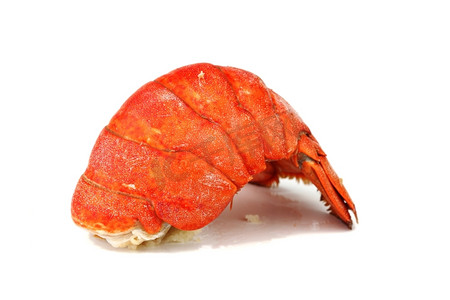 龙虾尾孤立在白色帝王蟹老虎蟹