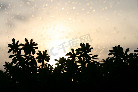 落日落在雨滴窗上的自然背景