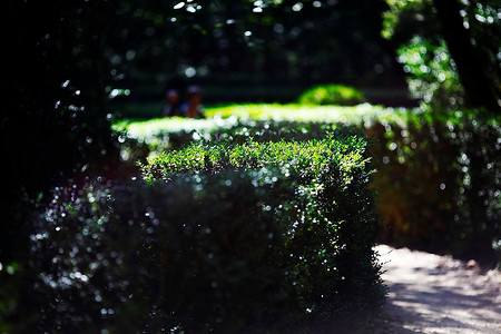 方框设计摄影照片_马奎萨克花园