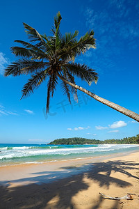 雄伟的天安门摄影照片_热带天堂田园诗般的棕榈滩。斯里兰卡
