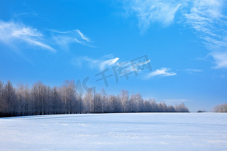 冬季景观--白雪覆盖的森林和田野