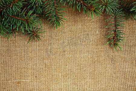 以粗麻布为背景的冷杉树自然树枝的圣诞边框