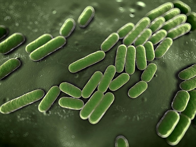 一些细菌的3d渲染科学插图文字图片植物