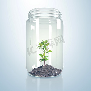 泥土的种子摄影照片_玻璃瓶里的绿芽和泥土