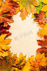 纹理纸上落下的枫叶做成的秋框