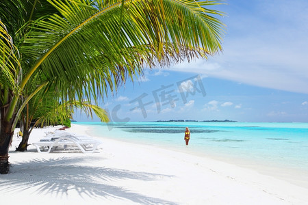 海洋背景下的棕榈树下的比基尼女子树椰树