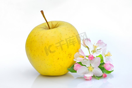 苹果和花朵