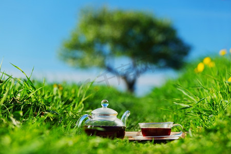 大茶壶摄影照片_天然绿草茶