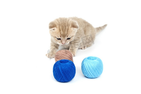 白色上孤立的猫和蓝色毛球