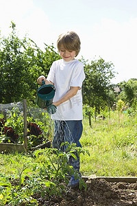 男孩浇水植物在花园