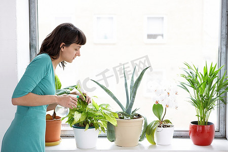 妇女浇灌室内植物