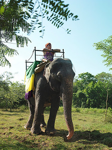骑着的大象摄影照片_骑着大象的年轻女子斜靠着看风景