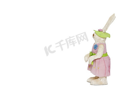 侧面的毛绒兔子站在白色背景美女简笔人物