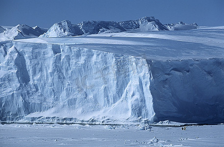 冰山摄影照片_南极洲，韦德尔海，里瑟拉森冰架，冰山和帝企鹅