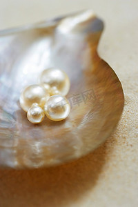 指路向上箭头摄影照片_海滩上敞开的牡蛎壳里的四颗珍珠合上了俯瞰的景色