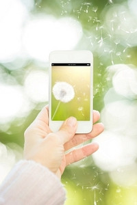 一名女子手持印有鲜花的智能手机，衬托着春天的绿色背景。生态观