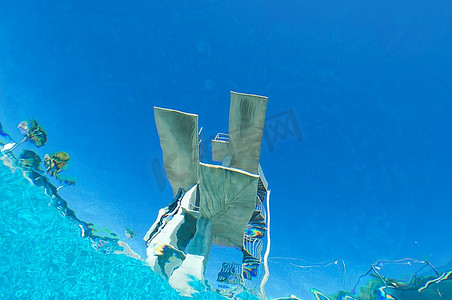 潜水板，水下景观