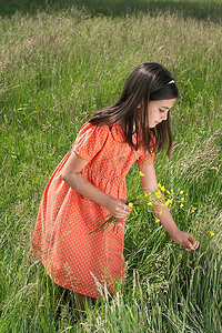 草地1摄影照片_从草地上摘花的女孩
