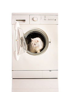 洗眼睛摄影照片_洗衣机和白猫
