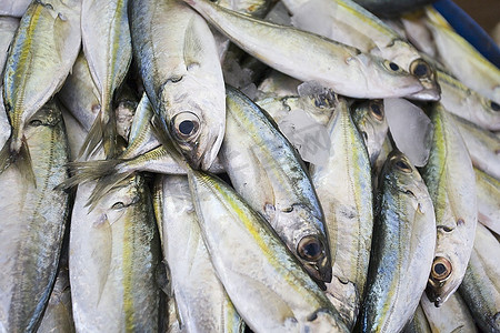 迪拜，阿联酋，在迪拜Bur Dubai的Shindagha市场出售鲜鱼