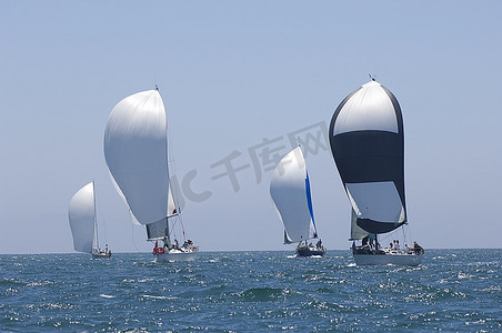 四艘游艇参加加州团体帆船比赛