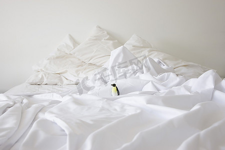 床摄影照片_床上的玩具企鹅