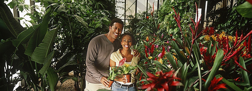 一对夫妇在花园中心手持植物，肖像