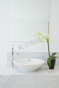 盆栽植物植物摄影照片_浴室内的水槽和盆栽植物