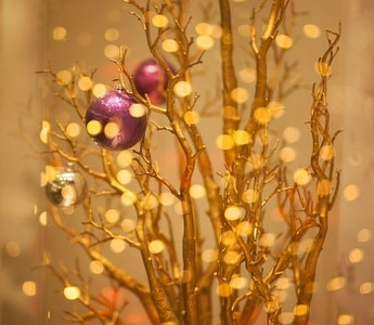 金枪鱼海报摄影照片_圣诞树装饰-闪闪发光的金色散景背景