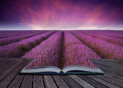 风景淡紫色摄影照片_从书页中走出的薰衣草田野风景的想象形象
