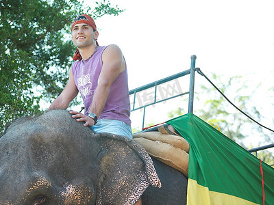 骑着的大象摄影照片_背景是骑着大象微笑的树的年轻人的肖像