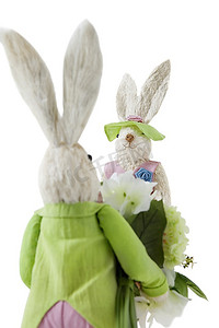 带花束的兔子在白色背景下接近雌性兔子的背景