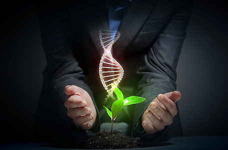 有机科学主题与DNA和年轻的绿色萌芽上升