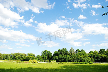 扁平风树木摄影照片_夏季草甸和树木景观