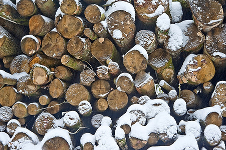 美丽的冬季森林雪景，厚厚的初雪和砍伐的木材堆叠的特写