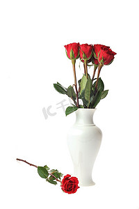 玫瑰在花瓶孤立在白色