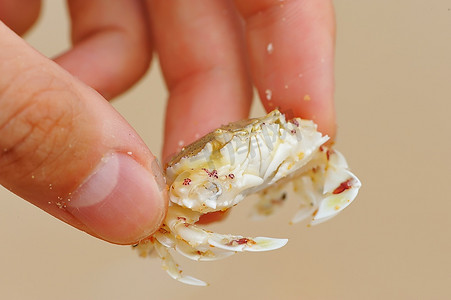 手里拿着可爱的小螃蟹